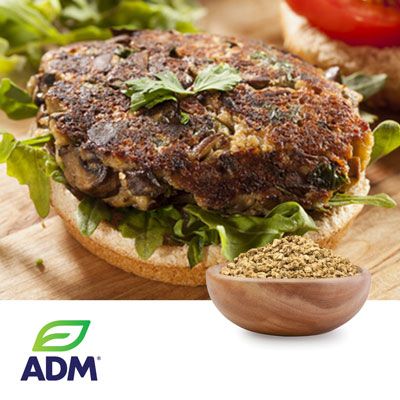 Arcon® T 158 Series Textured Soy Protein Concentrate by ADM