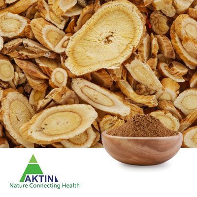 Astragalus Root Extract 10% Astragaloside IV by Aktin PureNSM