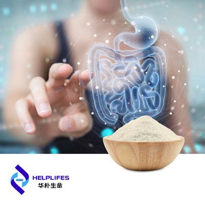 Bifidobacterium lactis Probiotic Powder (BL03 600 BN CFU) by Shanghai Helplifes Technology
