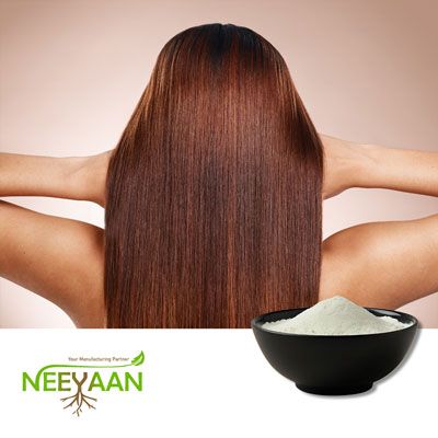 Biotin 1% Powder by Neeyaan