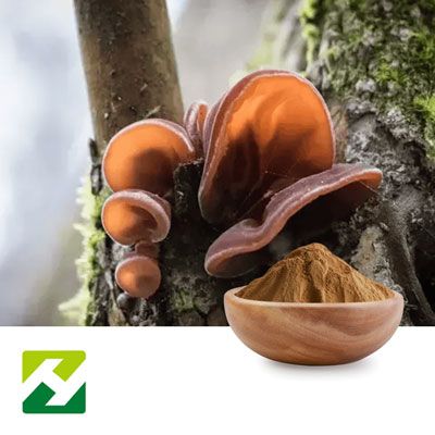 Black Fungus Powder by Organic Herb Inc