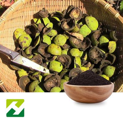Black Walnut Hull Extract 10:1 by Organic Herb Inc