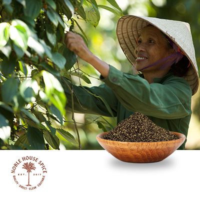 Black Pepper, Extra Coarse (9-12 Mesh) by Noble House Spice