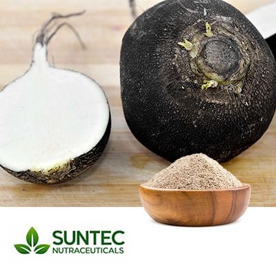 Black Radish Powder by Suntec Nutraceuticals