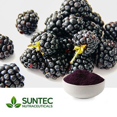 Blackberry Juice Powder by Suntec Nutraceuticals