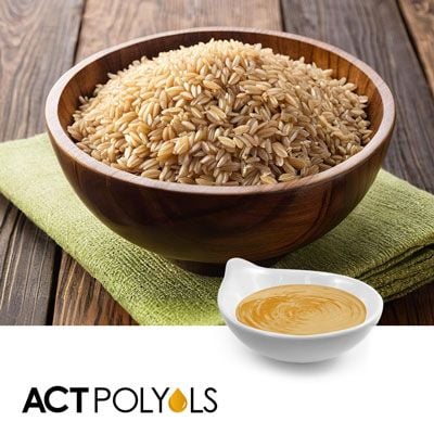 Brown Rice Syrup DE42 Conventional by ACT Polyols