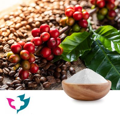 Caffeine Anhydrous by Hebei Guangxiang Pharmaceutical Co.