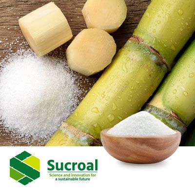 Citric Acid Anhydrous 60-200 mesh by Sucroal