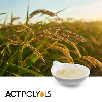 Clarified Rice Syrup DE60 Conventional by ACT Polyols