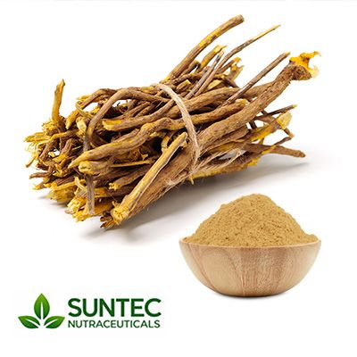 Coptis Root Powder by Suntec Nutraceuticals