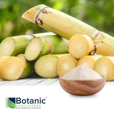 Cuban Policosanol by Botanic Healthcare