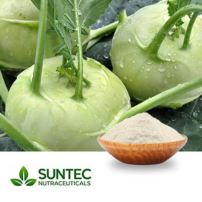 Diindolylmethane (DIM) by Suntec Nutraceuticals