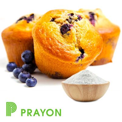 Calcium Phosphate, Tribasic Food Grade (EU100A) by Prayon Inc