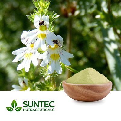 Eyebright Powder by Suntec Nutraceuticals