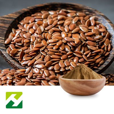 Flax Seed Extract 10:1 by Organic Herb Inc