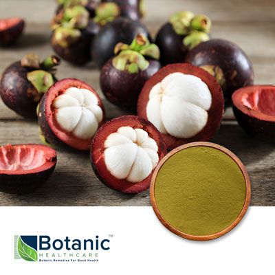 Garcinia mangostana Extract 40% by Botanic Healthcare