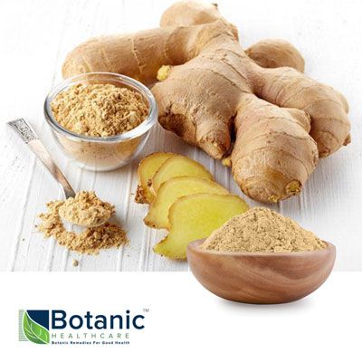 Ginger Extract 5% by Botanic Healthcare