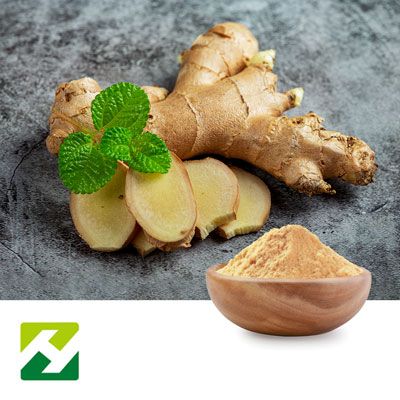 Ginger Root Extract 20-30 by Organic Herb Inc