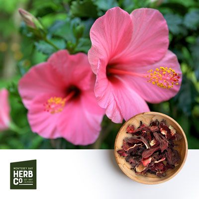 Hibiscus Flower Cut and Sifted by Monterey Bay Herb