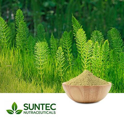 Horsetail Powder by Suntec Nutraceuticals