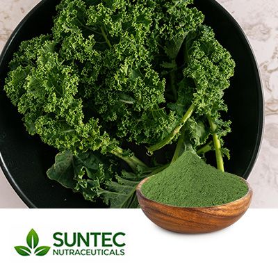 Kale Powder by Suntec Nutraceuticals