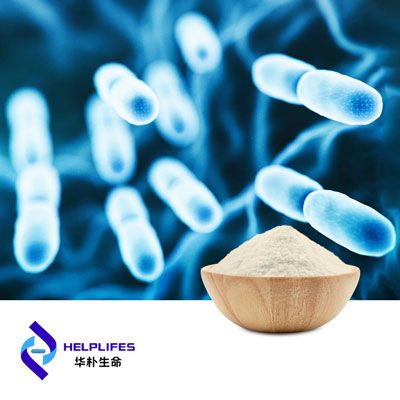 Lactobacillus bulgaricus Probiotic Powder (HB68 100B CFU/g) by Shanghai Helplifes Technology