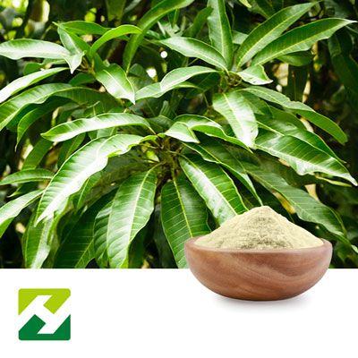 Mango Leaf Extract 10:1 by Organic Herb Inc