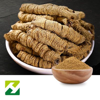 Morinda Root Extract 10:1 by Organic Herb Inc