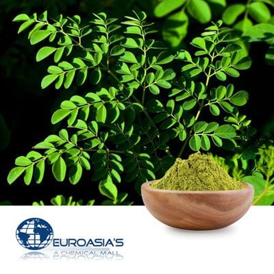 Moringa Leaf Powder by Euroasias Ingredients