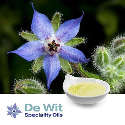 NEWmega™ Borage Oil CP-VIR GLA 20% by De Wit Speciality Oils
