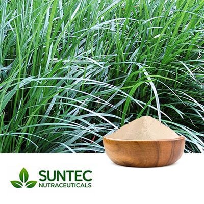 Ophiopogon Powder by Suntec Nutraceuticals