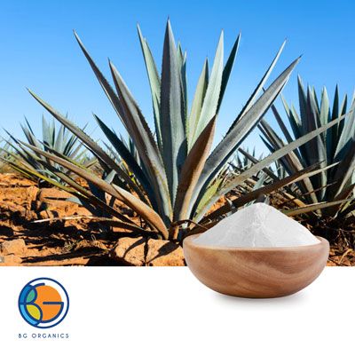 Organic Blue Agave Powder by Tierra Blanca