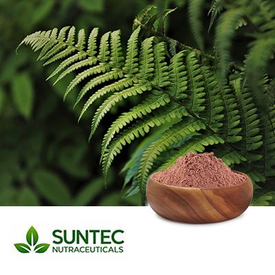 Polypodium Leucotomos Extract 20:1 by Suntec Nutraceuticals