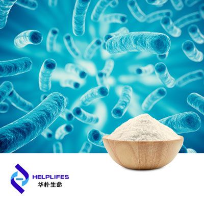 Akkermansia Muciniphila Probiotics Powder (AH39 100B TFU) by Shanghai Helplifes Technology