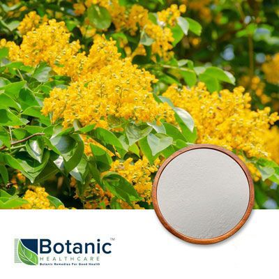 Pterocarpus marsupium Extract 98% by Botanic Healthcare