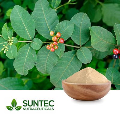 Rauwolfia Canescens Extract 10:1 by Suntec Nutraceuticals