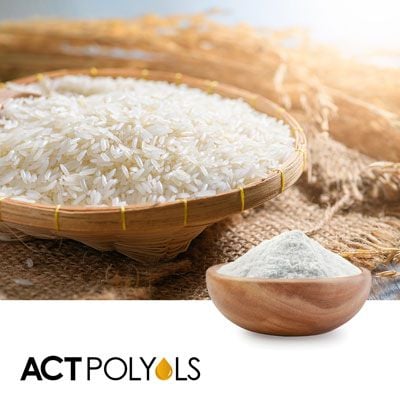 Rice Maltodextrin DE10 by ACT Polyols