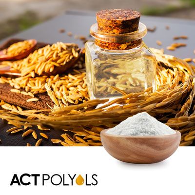 Rice Syrup Solids DE20 by ACT Polyols