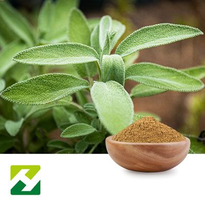 Sage Extract T 2.5% Rosmarinic Acid HPLC by Organic Herb Inc