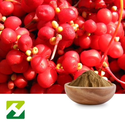Schisandra Chinensis Powder by Organic Herb Inc