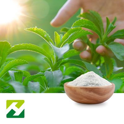 Stevia Leaf Extract 98% Rebaudioside  by Organic Herb Inc