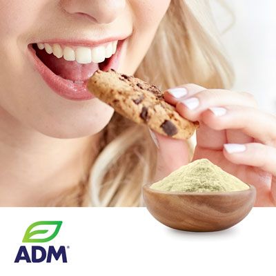 Toasted Soy Flour by ADM