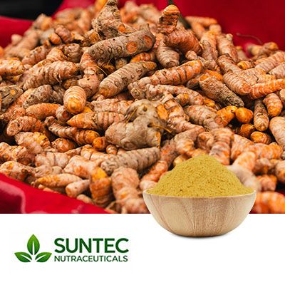 Turmeric Extract 10% Curcumins by Suntec Nutraceuticals