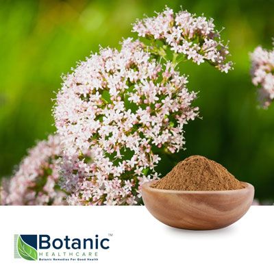 Valerian officinalis Extract 0.8% (Deodorized) by Botanic Healthcare