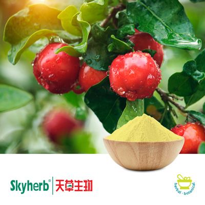 Acerola Cherry Extract 17% VC by Skyherb