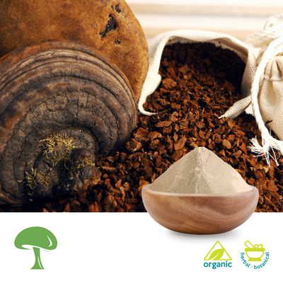 Organic Phellinus Linteus Mushroom Powder by Aloha Medicinals