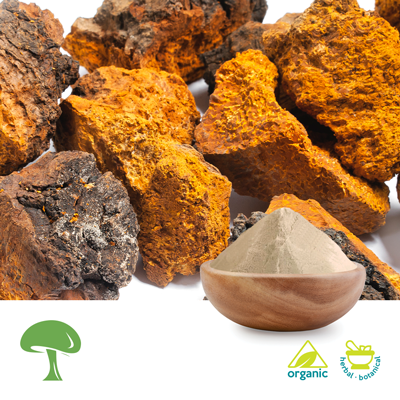 Organic Inonotus Obliquus Mushroom Powder by Aloha Medicinals