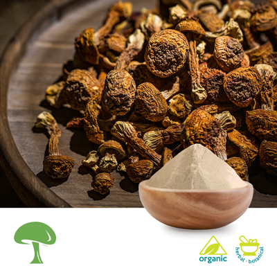 Organic Immune Assist Extract Mushroom Powder 50% Polysaccharide by Aloha Medicinals