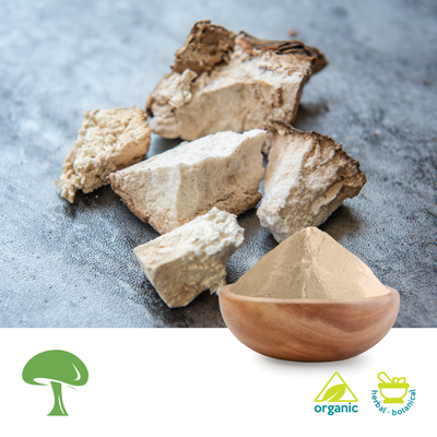 Organic Poria Mushroom Powder by Aloha Medicinals