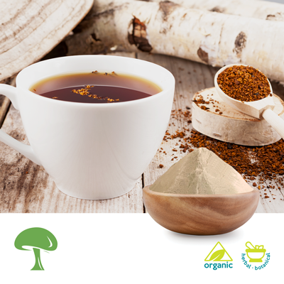 Organic Stout Camphor Mushroom Powder by Aloha Medicinals